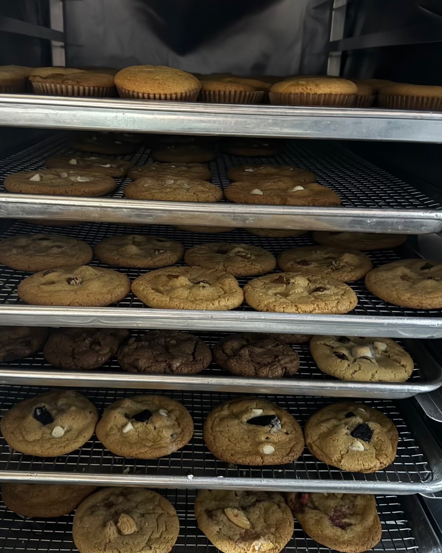 Trays of fresh-baked gourmet cookies