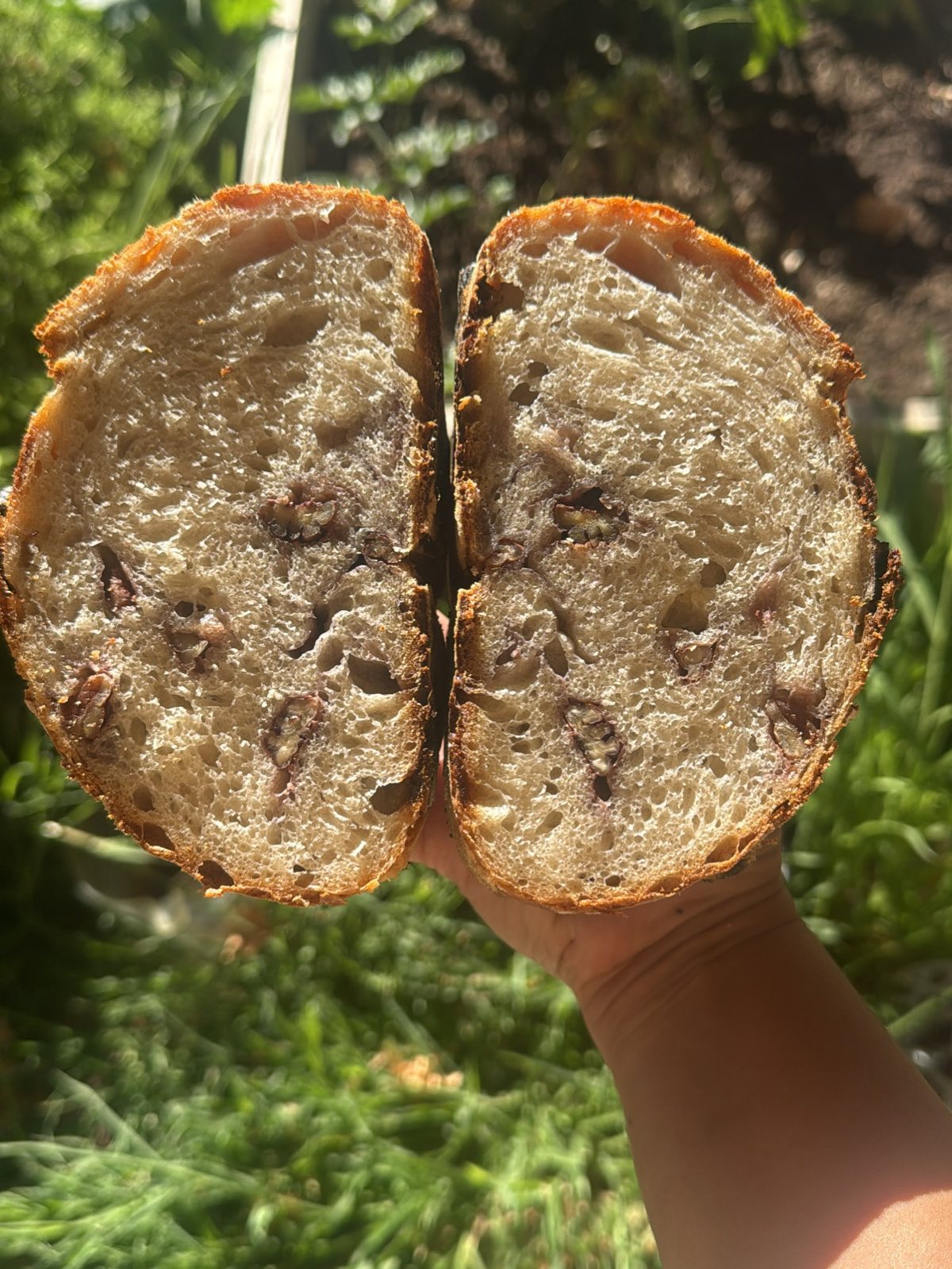 White chocolate sourdough loaf